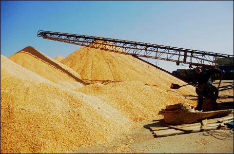 糧食谷物干燥機(jī)